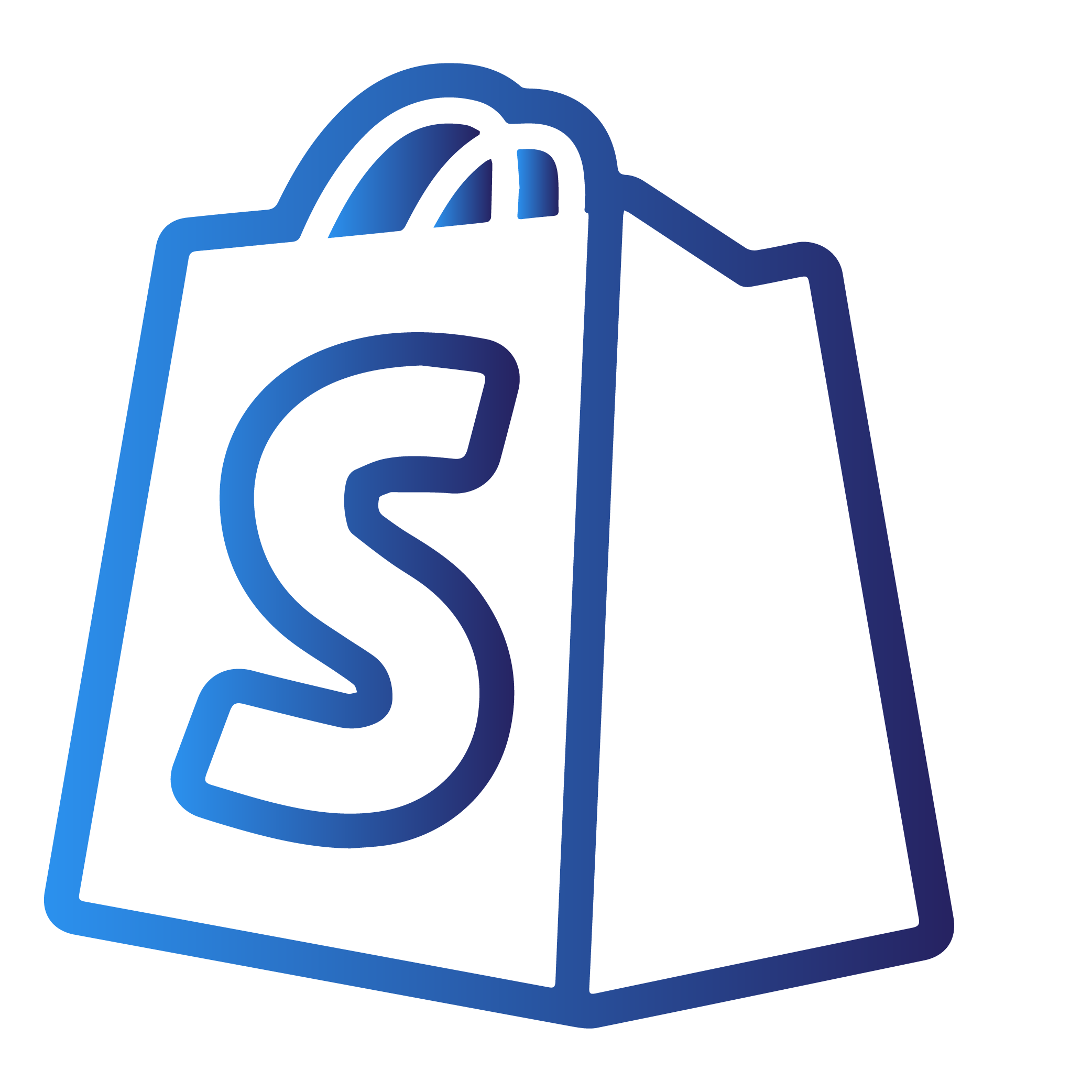 Shopify Store Development